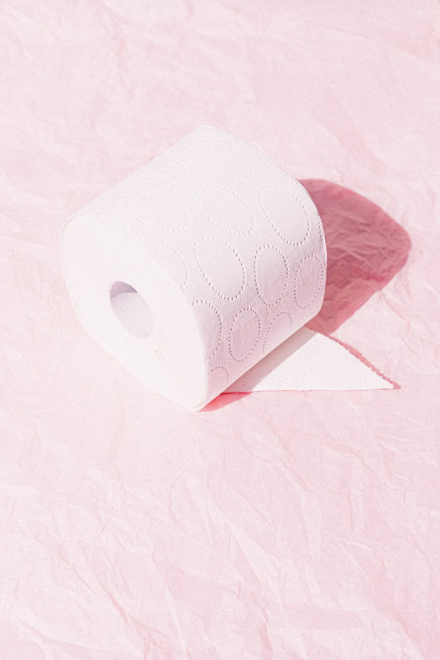Toilet Paper Day Visual