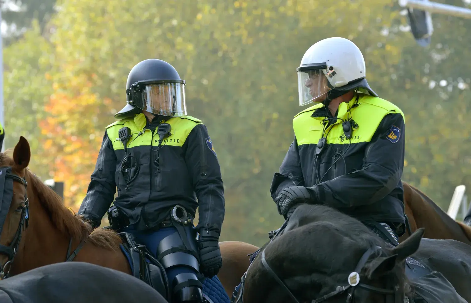 ww-lco2-police on horse.jpg