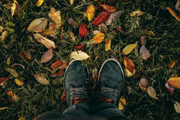 Floor Care Mats Fall and Winter season